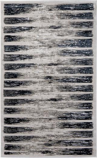 Feizy Jewel 39N7F Gray / Black Area Rug main image