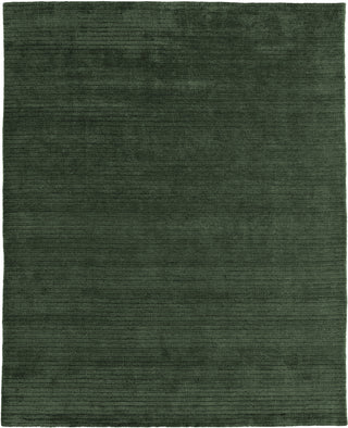 Feizy Cornerstone 8A22F Green Area Rug main image