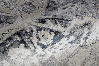 Feizy Jewel 39IYF Ivory / Black Area Rug Detail Image