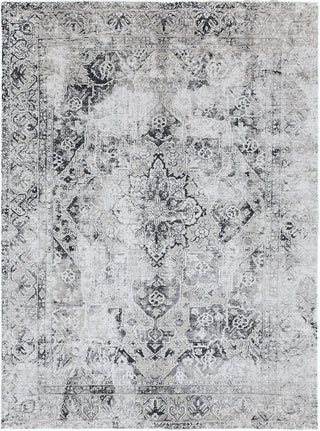 Feizy Jewel 39IYF Ivory / Black Area Rug main image