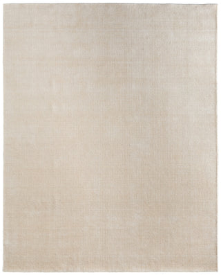 Feizy Fleetwood 8A06F Ivory/Tan Area Rug main image