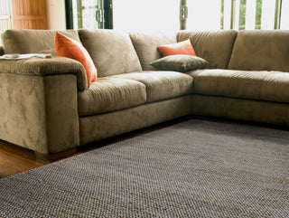 Feizy Durham I0526 Gray Area Rug Lifestyle Image Feature
