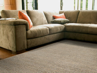 Feizy Durham I0526 Tan Area Rug Lifestyle Image Feature