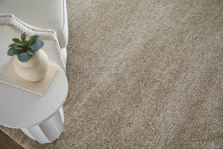 Feizy Jameson 39R8F Tan/Ivory Area Rug Room Scene 2