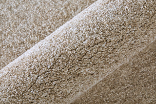 Feizy Jameson 39R8F Tan/Ivory Area Rug Detail