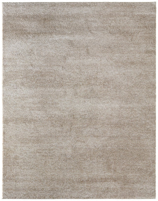 Feizy Jameson 39R8F Tan/Ivory Area Rug main image