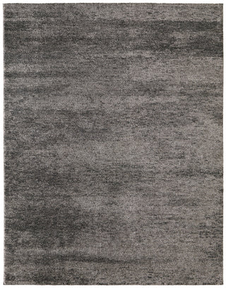 Feizy Jameson 39R8F Gray/Black Area Rug main image
