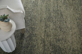 Feizy Jameson 39R8F Green/Black/Tan Area Rug Room Scene 2