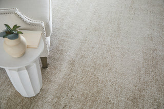 Feizy Jameson 39R8F Ivory/Tan Area Rug Room Scene 2
