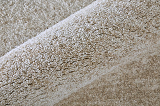 Feizy Jameson 39R8F Ivory/Tan Area Rug Close Up
