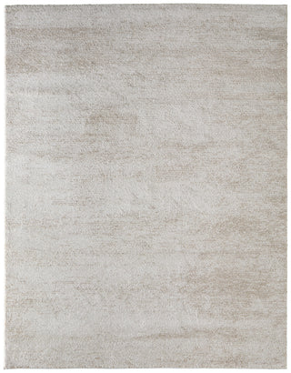 Feizy Jameson 39R8F Ivory/Tan Area Rug main image