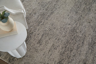 Feizy Jameson 39R8F Gray/Ivory Area Rug Lifestyle Image Feature