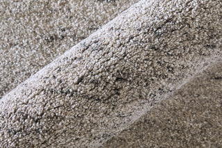 Feizy Jameson 39R8F Gray/Ivory Area Rug Lifestyle Image Feature