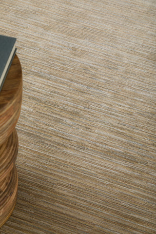 Feizy Priestley 39UCF Tan Area Rug Lifestyle Image Feature