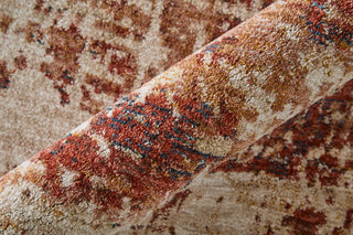Feizy Pearson 39UEF Ivory/Red/Tan Area Rug Detail Image