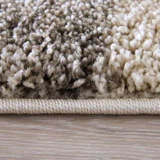 Feizy Richmond 39R4F Ivory/Gray/Blue Area Rug Pattern Image