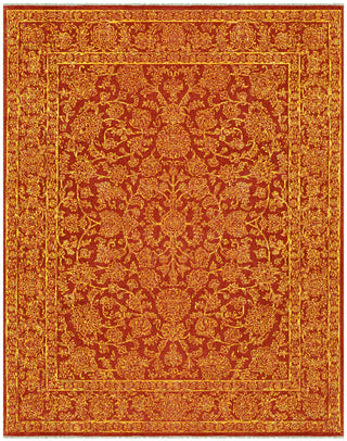 Feizy Armitage 6642F Red/Red Area Rug Main Image