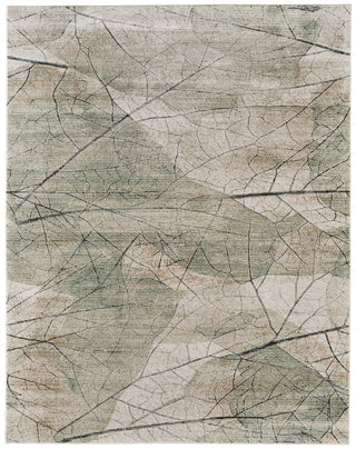 Feizy Sonora 39U8F Green/Tan/Ivory Area Rug main image