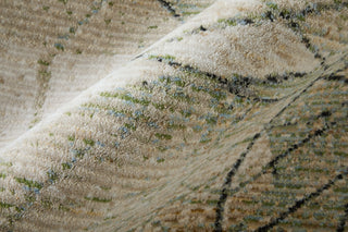Feizy Sonora 39U8F Green/Tan/Ivory Area Rug Detail Image