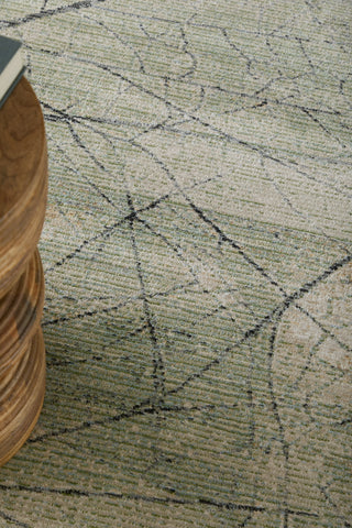 Feizy Sonora 39U8F Green/Tan/Ivory Area Rug Lifestyle Image Feature