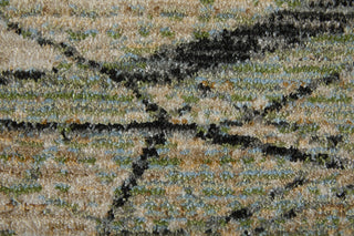 Feizy Sonora 39U8F Green/Tan/Ivory Area Rug Pattern Image