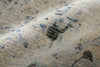 Feizy Sonora 39U9F Blue/Ivory/Tan Area Rug Detail Image