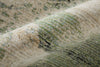Feizy Sonora 39U9F Green/Ivory/Tan Area Rug Detail Image
