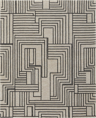 Feizy Gansett T8011 Tan/Brown Area Rug by Thom Filicia