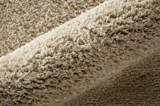 Feizy Tula 8A98F Tan Area Rug Detail Image