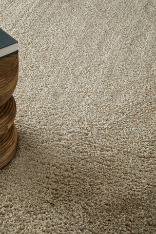 Feizy Tula 8A98F Tan Area Rug Lifestyle Image Feature