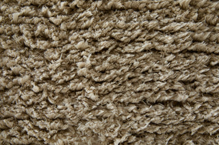 Feizy Tula 8A98F Tan Area Rug Pattern Image