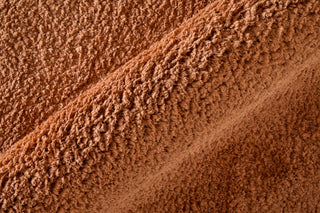 Feizy Tula 8A98F Orange Area Rug Detail Image