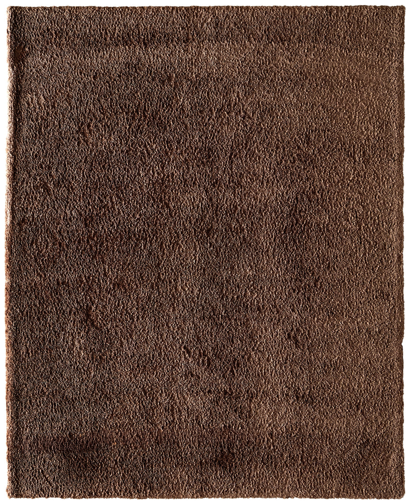 Feizy Tula 8A98F Brown Area Rug main image