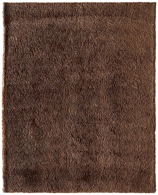 Feizy Tula 8A98F Brown Area Rug main image