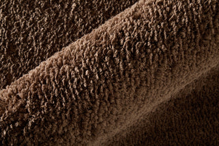 Feizy Tula 8A98F Brown Area Rug Detail Image