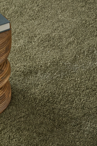 Feizy Tula 8A98F Green Area Rug Lifestyle Image Feature