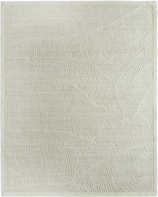 Feizy Winston 8B02F Ivory Area Rug main image