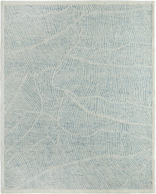 Feizy Winston 8B02F Blue / Ivory Area Rug main image