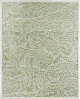 Feizy Winston 8B02F Green / Ivory Area Rug main image