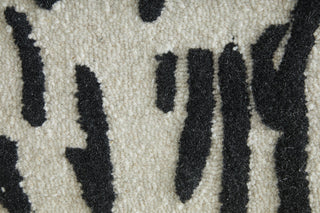 Feizy Winston 8B06F Ivory / Black Area Rug Pattern Image