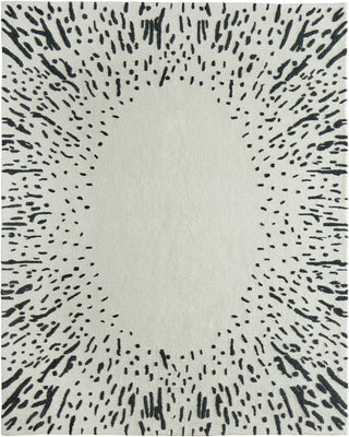 Feizy Winston 8B06F Ivory / Black Area Rug main image
