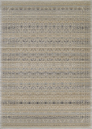 Couristan Fez Medina Earthen Area Rug main image