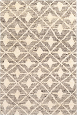 Surya Fez FEZ-2303 Area Rug main image