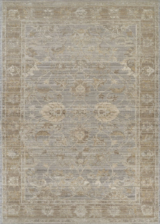 Couristan Fez Palais Storm Grey Area Rug main image