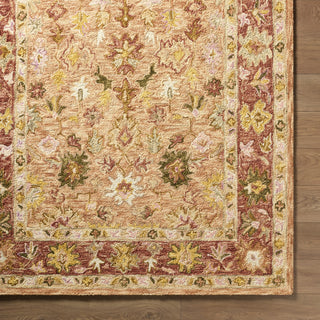 Livabliss Fairfax FFX-2306 Apricot Area Rug 