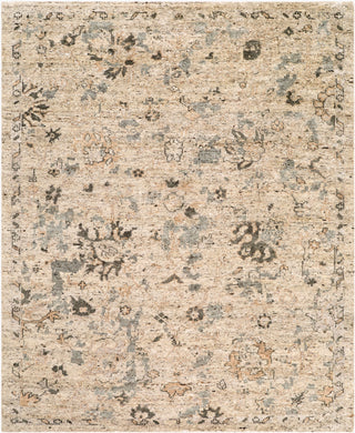 Surya Farhan FHN-2300 Area Rug main image