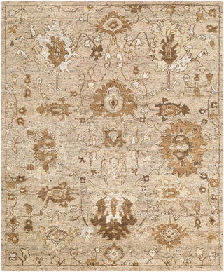 Surya Farhan FHN-2301 Area Rug main image