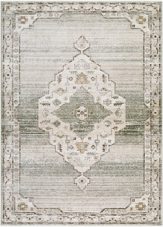 Livabliss Fifth Avenue FIF-2303 Sage Area Rug main image