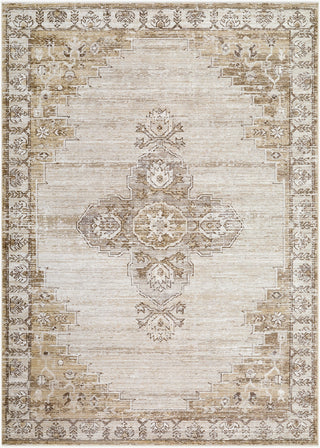 Livabliss Fifth Avenue FIF-2304 Taupe Area Rug main image