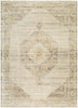Livabliss Fifth Avenue FIF-2306 Area Rug main image